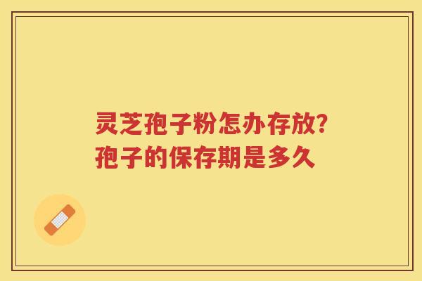 灵芝孢子粉怎办存放?孢子的保存期是多久 灵芝孢子粉怎办存放?孢子的保存期是多久