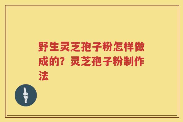 野生灵芝孢子粉怎样做成的？灵芝孢子粉制作法