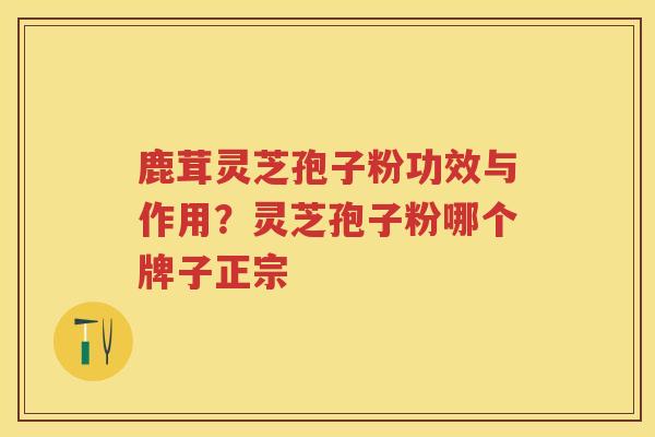 鹿茸灵芝孢子粉功效与作用？灵芝孢子粉哪个牌子正宗