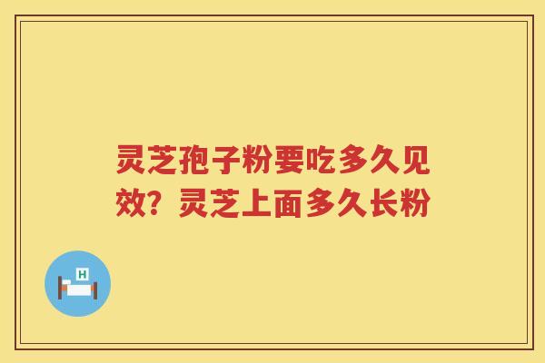 灵芝孢子粉要吃多久见效？灵芝上面多久长粉