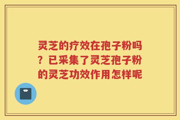 灵芝的疗效在孢子粉吗？已采集了灵芝孢子粉的灵芝功效作用怎样呢