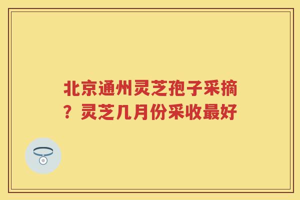 北京通州灵芝孢子采摘？灵芝几月份采收好