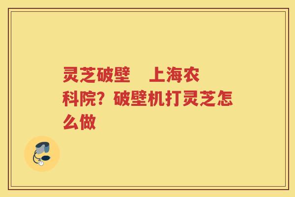 灵芝破壁   上海农科院？破壁机打灵芝怎么做