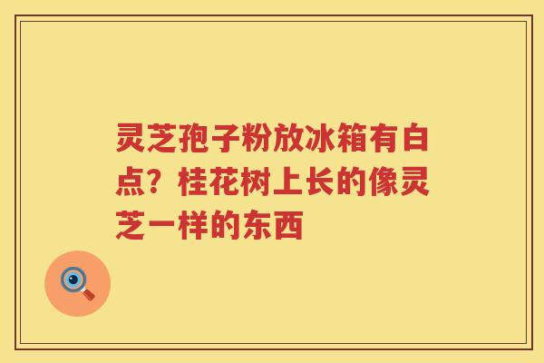 灵芝孢子粉放冰箱有白点？桂花树上长的像灵芝一样的东西