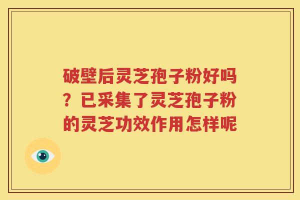 破壁后灵芝孢子粉好吗?已采集了灵芝孢子粉的灵芝功效作用怎样呢 破壁后灵芝孢子粉好吗?已采集了灵芝孢子粉的灵芝功效作用怎样呢