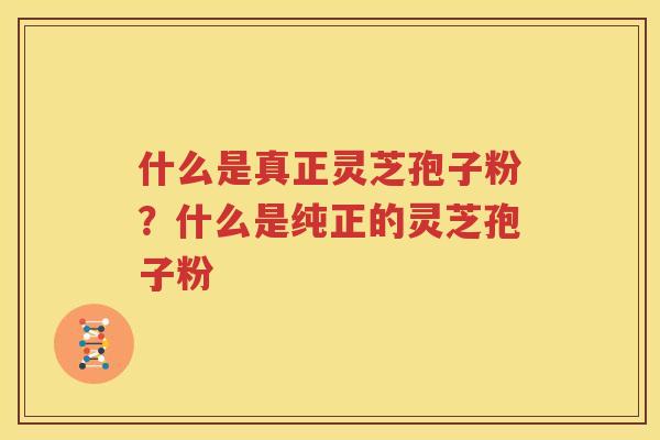 什么是真正灵芝孢子粉？什么是纯正的灵芝孢子粉