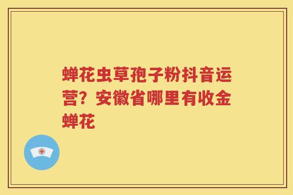 蝉花虫草孢子粉抖音运营？安徽省哪里有收金蝉花