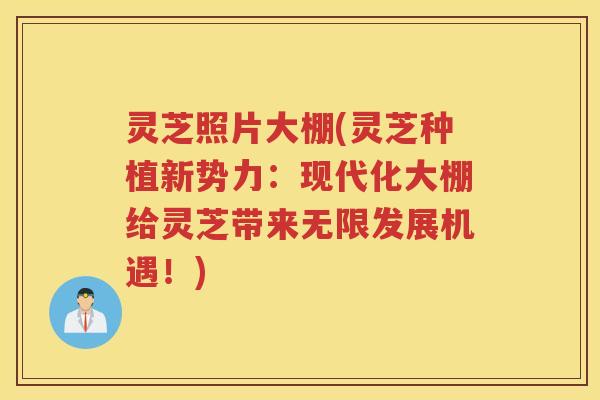 灵芝照片大棚(灵芝种植新势力:现代化大棚给灵芝带来无限发展机遇!) 灵芝照片大棚(灵芝种植新势力:现代化大棚给灵芝带来无限发展机遇!)