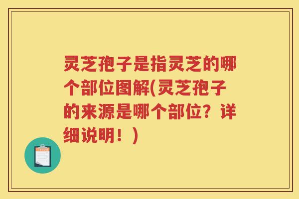 灵芝孢子是指灵芝的哪个部位图解(灵芝孢子的来源是哪个部位？详细说明！)