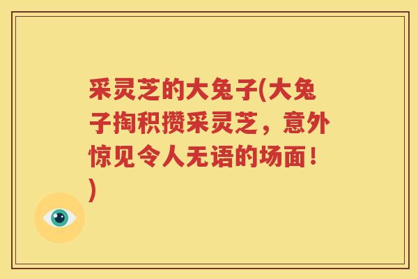 采灵芝的大兔子(大兔子掏积攒采灵芝，意外惊见令人无语的场面！)