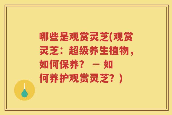 哪些是观赏灵芝(观赏灵芝：超级养生植物，如何保养？ -- 如何养护观赏灵芝？)
