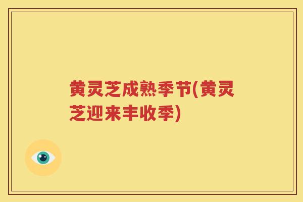 黄灵芝成熟季节(黄灵芝迎来丰收季)