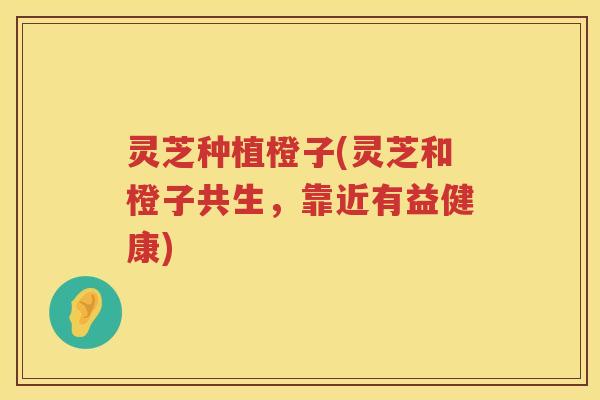 灵芝种植橙子(灵芝和橙子共生，靠近有益健康)