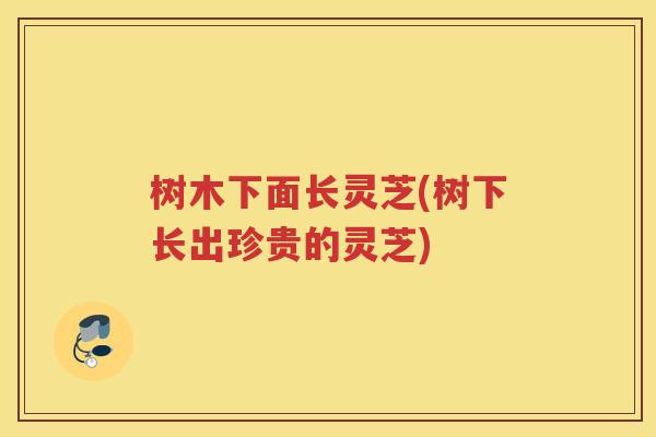 树木下面长灵芝(树下长出珍贵的灵芝)
