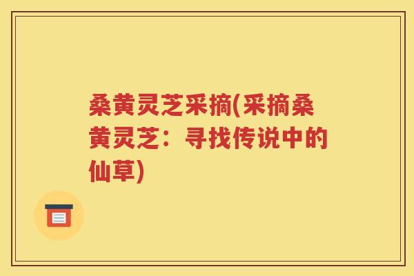 桑黄灵芝采摘(采摘桑黄灵芝:寻找传说中的仙草) 桑黄灵芝采摘(采摘桑黄灵芝:寻找传说中的仙草)