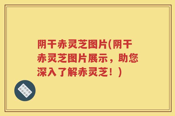 阴干赤灵芝图片(阴干赤灵芝图片展示，助您深入了解赤灵芝！)