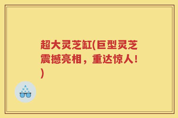超大灵芝缸(巨型灵芝震撼亮相，重达惊人！)