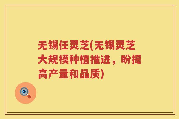 无锡任灵芝(无锡灵芝大规模种植推进，盼提高产量和品质)