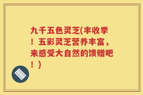 九千五色灵芝(丰收季!五彩灵芝营养丰富,来感受大自然的馈赠吧!) 九千五色灵芝(丰收季!五彩灵芝营养丰富,来感受大自然的馈赠吧!)