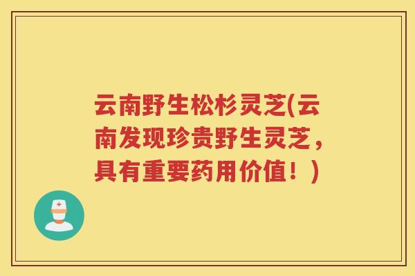 云南野生松杉灵芝(云南发现珍贵野生灵芝，具有重要药用价值！)