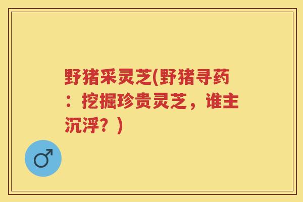 野猪采灵芝(野猪寻药：挖掘珍贵灵芝，谁主沉浮？)