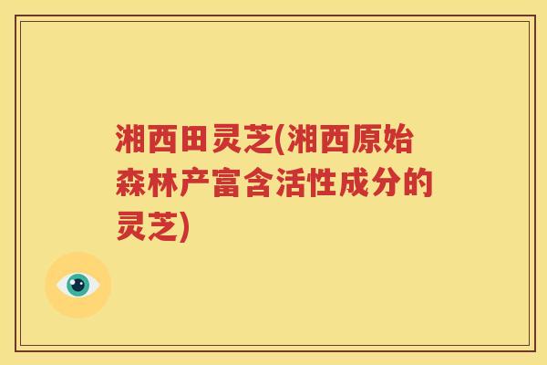湘西田灵芝(湘西原始森林产富含活性成分的灵芝)