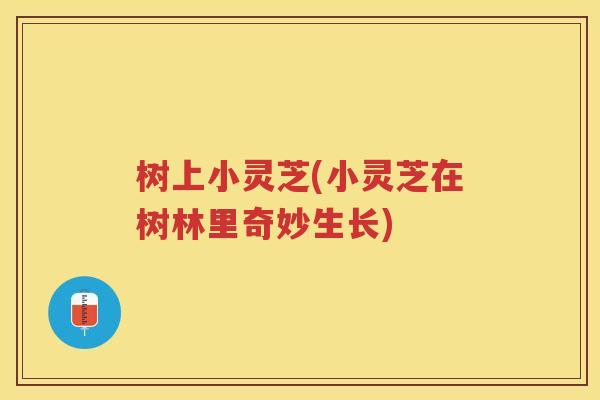 树上小灵芝(小灵芝在树林里奇妙生长) 树上小灵芝(小灵芝在树林里奇妙生长)