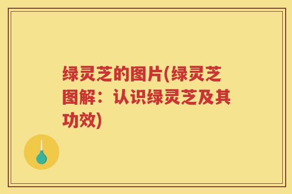 绿灵芝的图片(绿灵芝图解：认识绿灵芝及其功效)