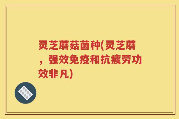灵芝蘑菇菌种(灵芝蘑,强效免疫和功效非凡) 灵芝蘑菇菌种(灵芝蘑,强效免疫和功效非凡)