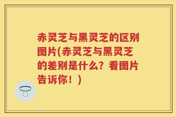 赤灵芝与黑灵芝的区别图片(赤灵芝与黑灵芝的差别是什么？看图片告诉你！)