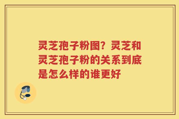 灵芝孢子粉图?灵芝和灵芝孢子粉的关系到底是怎么样的谁更好 灵芝孢子粉图?灵芝和灵芝孢子粉的关系到底是怎么样的谁更好