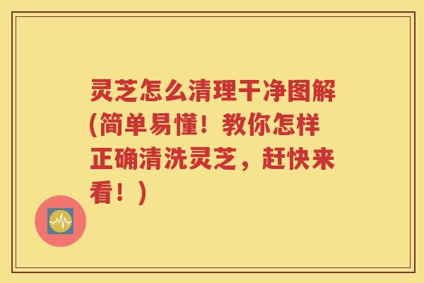 灵芝怎么清理干净图解(简单易懂！教你怎样正确清洗灵芝，赶快来看！)