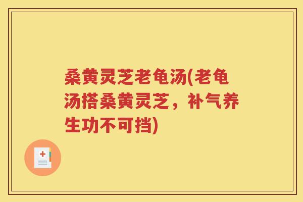 桑黄灵芝老龟汤(老龟汤搭桑黄灵芝，养生功不可挡)