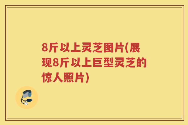 8斤以上灵芝图片(展现8斤以上巨型灵芝的惊人照片)