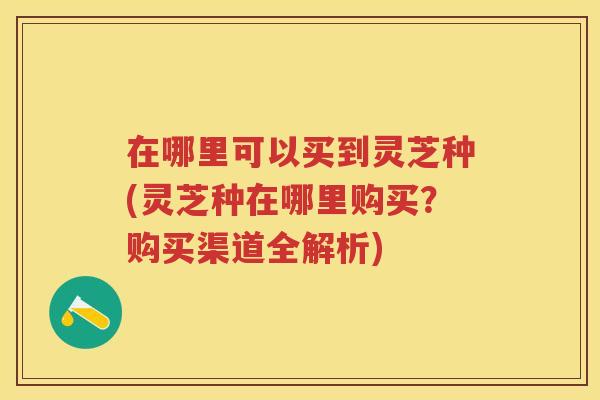 在哪里可以买到灵芝种(灵芝种在哪里购买？购买渠道全解析)