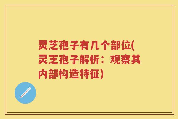 灵芝孢子有几个部位(灵芝孢子解析：观察其内部构造特征)