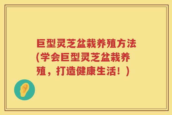 巨型灵芝盆栽养殖方法(学会巨型灵芝盆栽养殖,打造健康生活!) 巨型灵芝盆栽养殖方法(学会巨型灵芝盆栽养殖,打造健康生活!)
