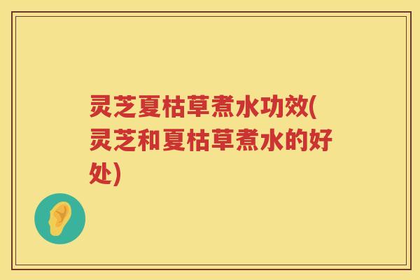 灵芝夏枯草煮水功效(灵芝和夏枯草煮水的好处) 灵芝夏枯草煮水功效(灵芝和夏枯草煮水的好处)