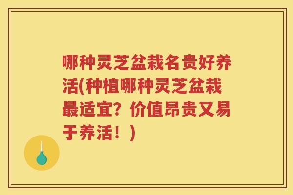 哪种灵芝盆栽名贵好养活(种植哪种灵芝盆栽适宜？价值昂贵又易于养活！)
