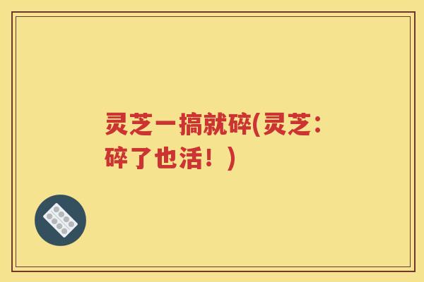 灵芝一搞就碎(灵芝:碎了也活!) 灵芝一搞就碎(灵芝:碎了也活!)
