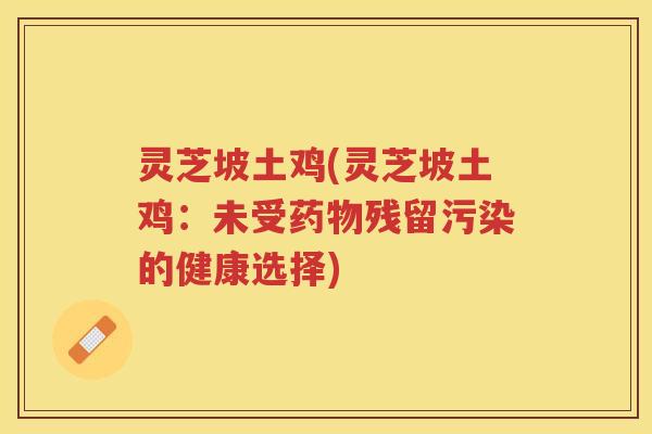 灵芝坡土鸡(灵芝坡土鸡：未受残留污染的健康选择)