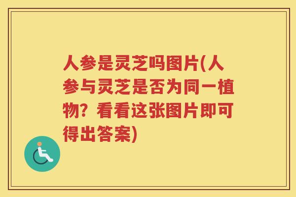 人参是灵芝吗图片(人参与灵芝是否为同一植物？看看这张图片即可得出答案)