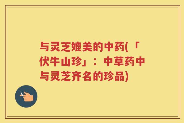 与灵芝媲美的(「伏牛山珍」：中草药中与灵芝齐名的珍品)