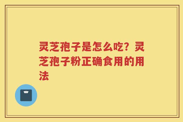 灵芝孢子是怎么吃？灵芝孢子粉正确食用的用法