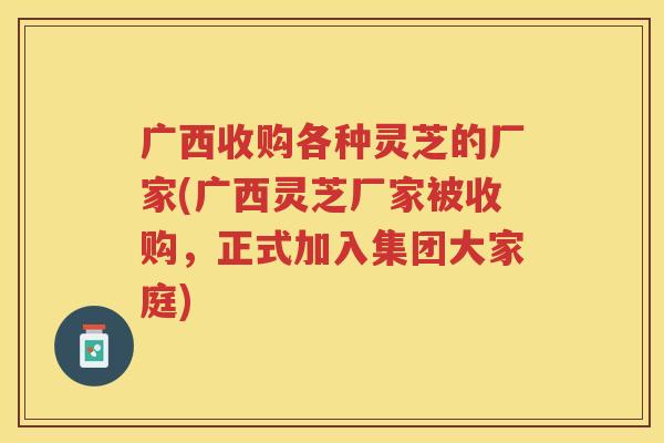 广西收购各种灵芝的厂家(广西灵芝厂家被收购，正式加入集团大家庭)