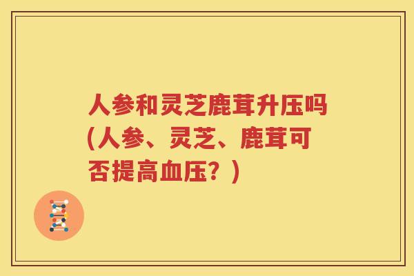 人参和灵芝鹿茸升压吗(人参、灵芝、鹿茸可否提高？)