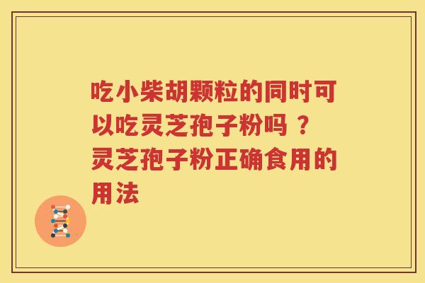 吃小柴胡颗粒的同时可以吃灵芝孢子粉吗 ?灵芝孢子粉正确食用的用法 吃小柴胡颗粒的同时可以吃灵芝孢子粉吗 ?灵芝孢子粉正确食用的用法