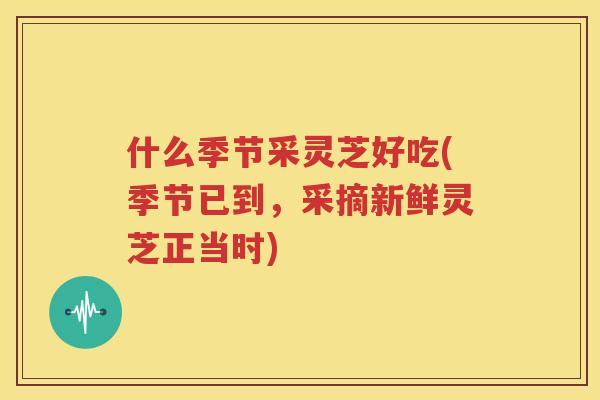 什么季节采灵芝好吃(季节已到，采摘新鲜灵芝正当时)