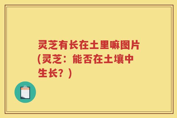 灵芝有长在土里嘛图片(灵芝：能否在土壤中生长？)