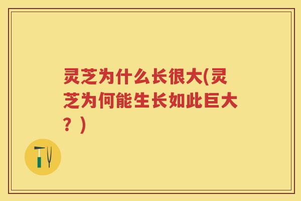 灵芝为什么长很大(灵芝为何能生长如此巨大？)